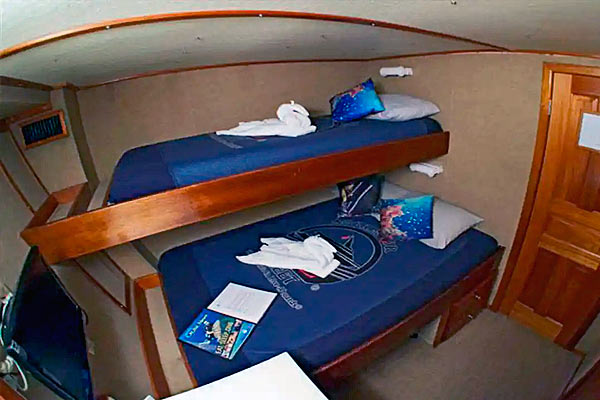 Каюты Deluxe на корабле Belize Aggressor III Каюты Deluxe на корабле Belize Aggressor-3