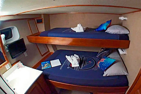 Каюты Deluxe на корабле Belize Aggressor III Каюты Deluxe на корабле Belize Aggressor-3